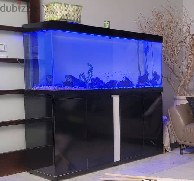 aquarium 150 اكواريوم 0