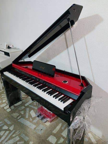 New digital piano 2