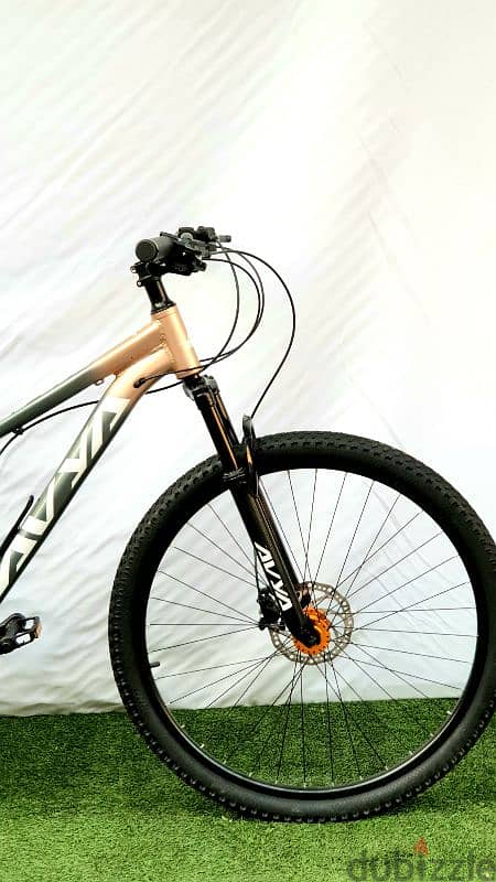 avya new mtb 29 1