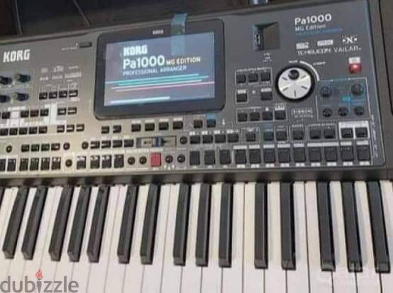 Korg Pa1000 MG 0