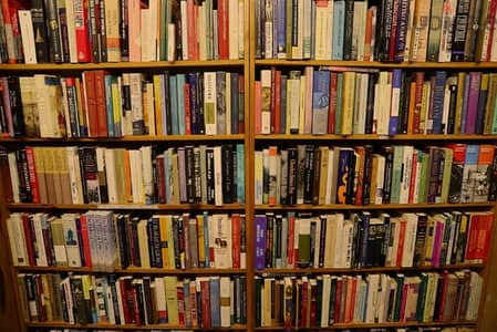 100 used  books in french + english