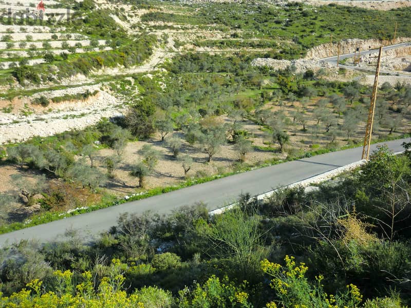 Amazing land close Amioun Koura for Sale - ارض ساحرة في الكوره / اميون 3