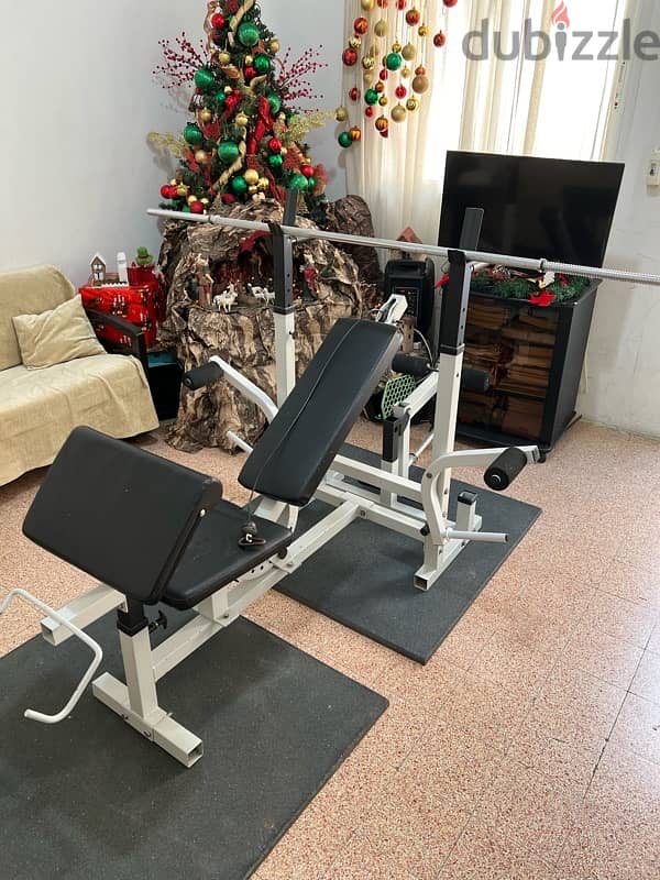 ( Full Home Gym) | Adjustable Bench | weights | Axes | Rubber Mats 1