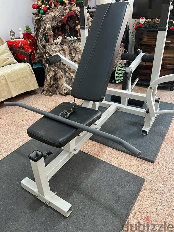 ( Full Home Gym) | Adjustable Bench | weights | Axes | Rubber Mats 4