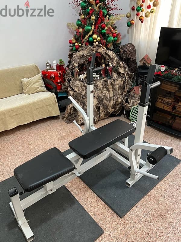 ( Full Home Gym) | Adjustable Bench | weights | Axes | Rubber Mats 9