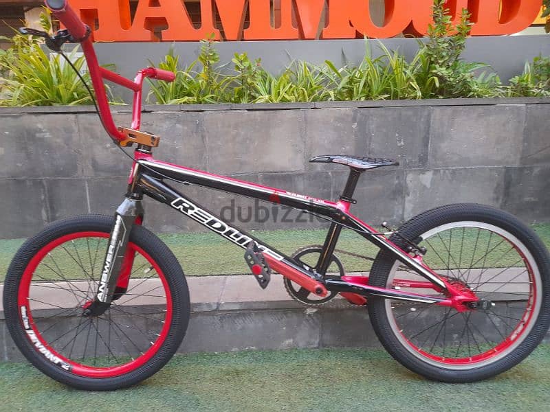 cety bike 11