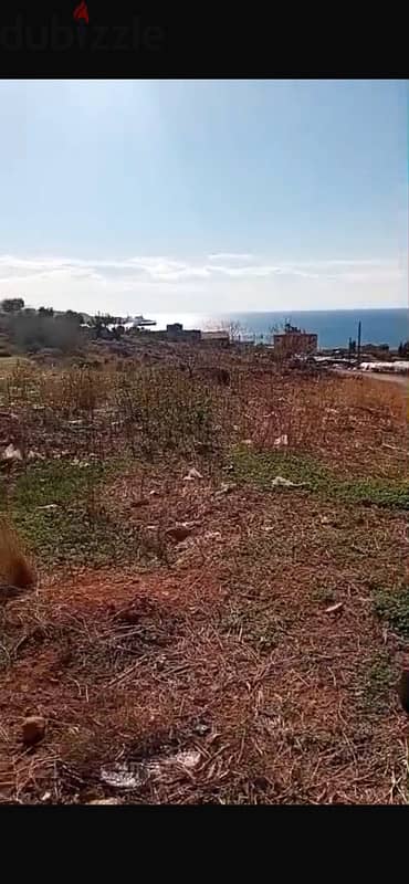 Land for sale in Jieh | أرض للبيع في الجية 1