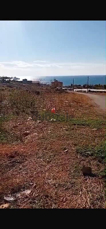 Land for sale in Jieh | أرض للبيع في الجية 3