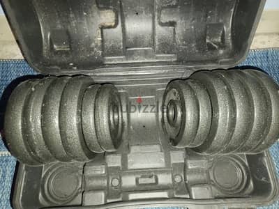 dumbells 30 kg