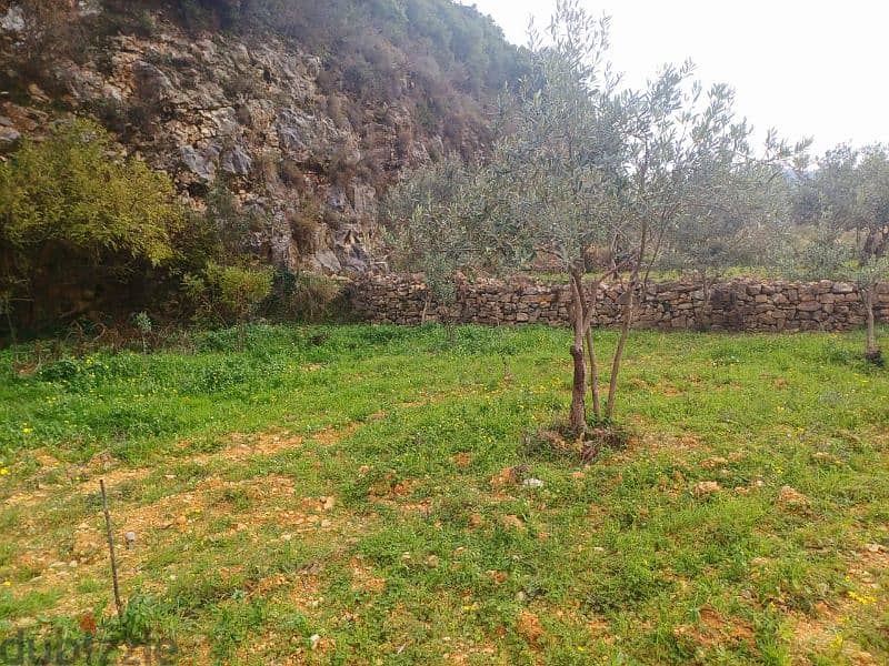 Flat Land for sale in Bejdarfel Kour Batroun 1650 Sqm 0