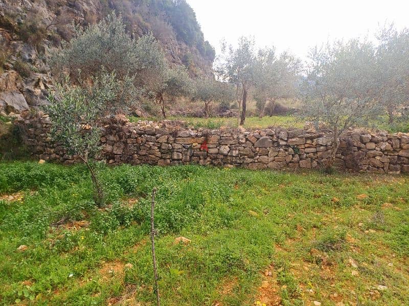 Flat Land for sale in Bejdarfel Kour Batroun 1650 Sqm 1