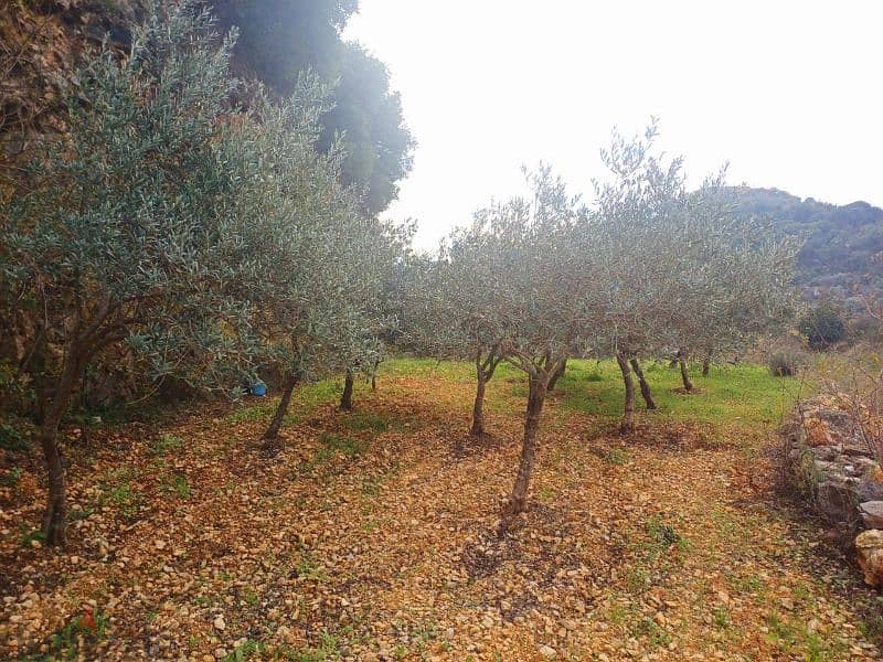 Flat Land for sale in Bejdarfel Kour Batroun 1650 Sqm 2