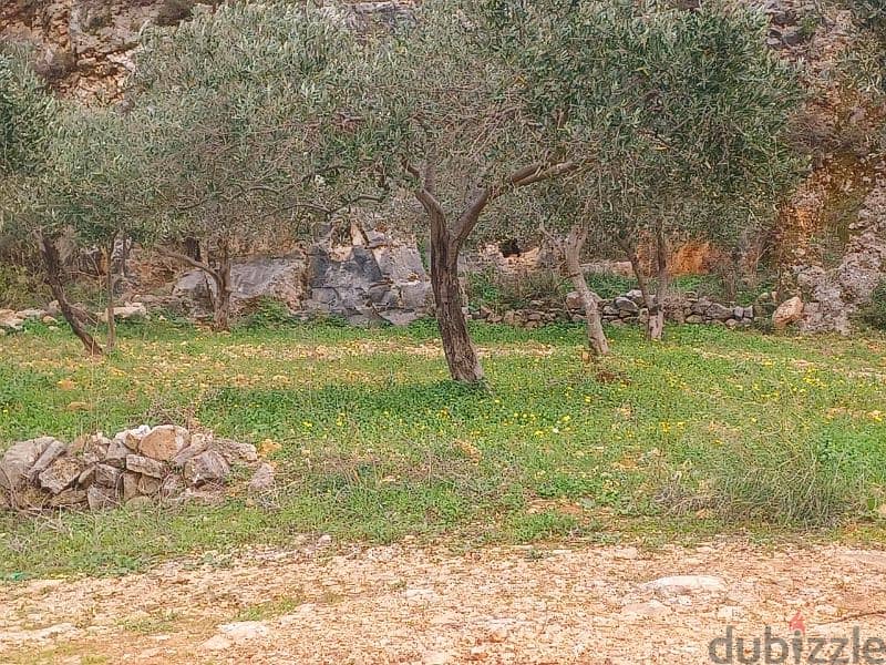 Flat Land for sale in Bejdarfel Kour Batroun 1650 Sqm 4