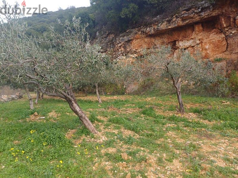 Flat Land for sale in Bejdarfel Kour Batroun 1650 Sqm 5