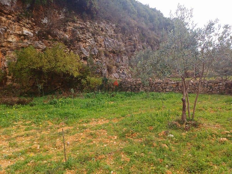 Flat Land for sale in Bejdarfel Kour Batroun 1650 Sqm 7