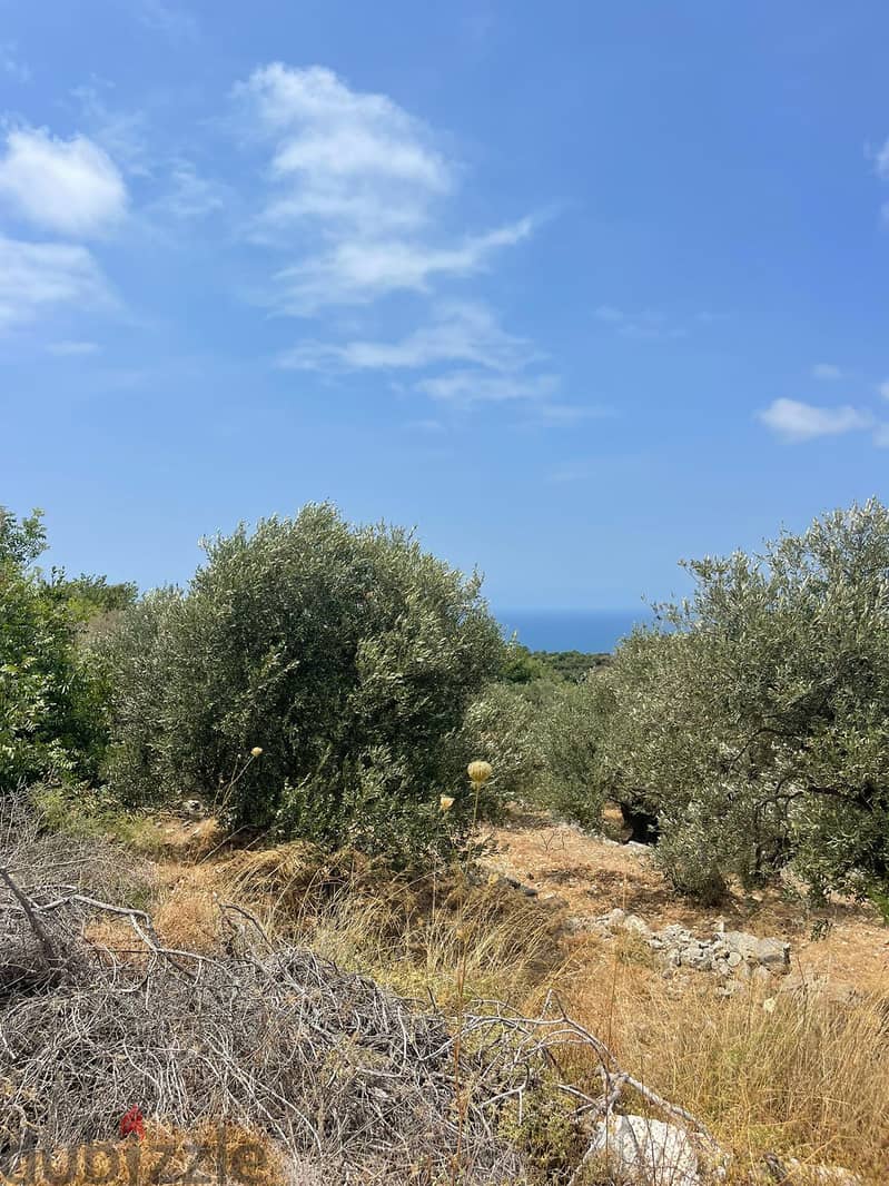 RWB201CA - Land for sale in Jeddayel Jbeil 0