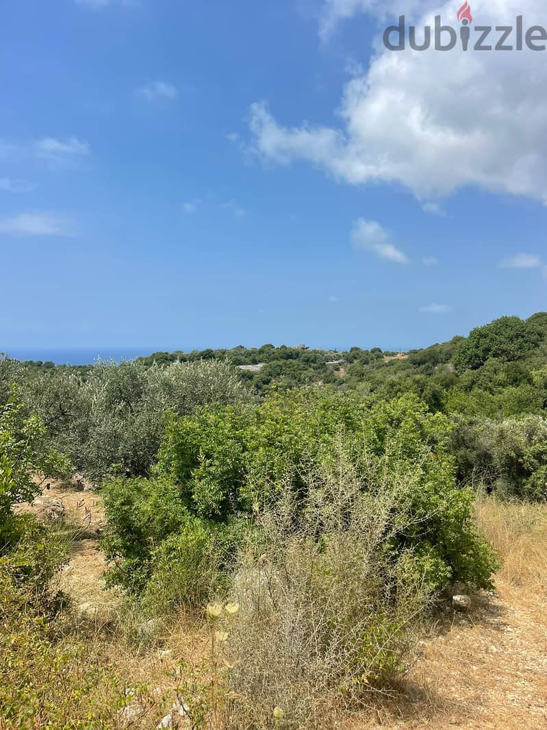 RWB201CA - Land for sale in Jeddayel Jbeil 1