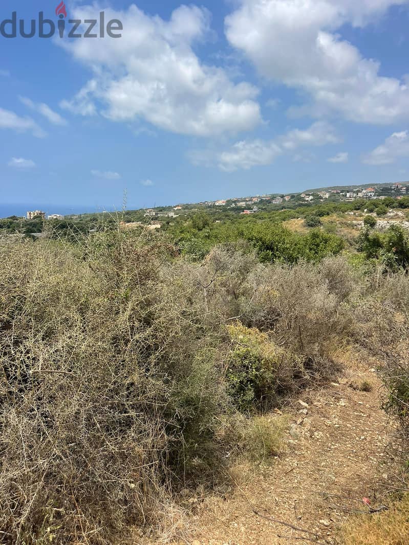 RWB201CA - Land for sale in Jeddayel Jbeil 2