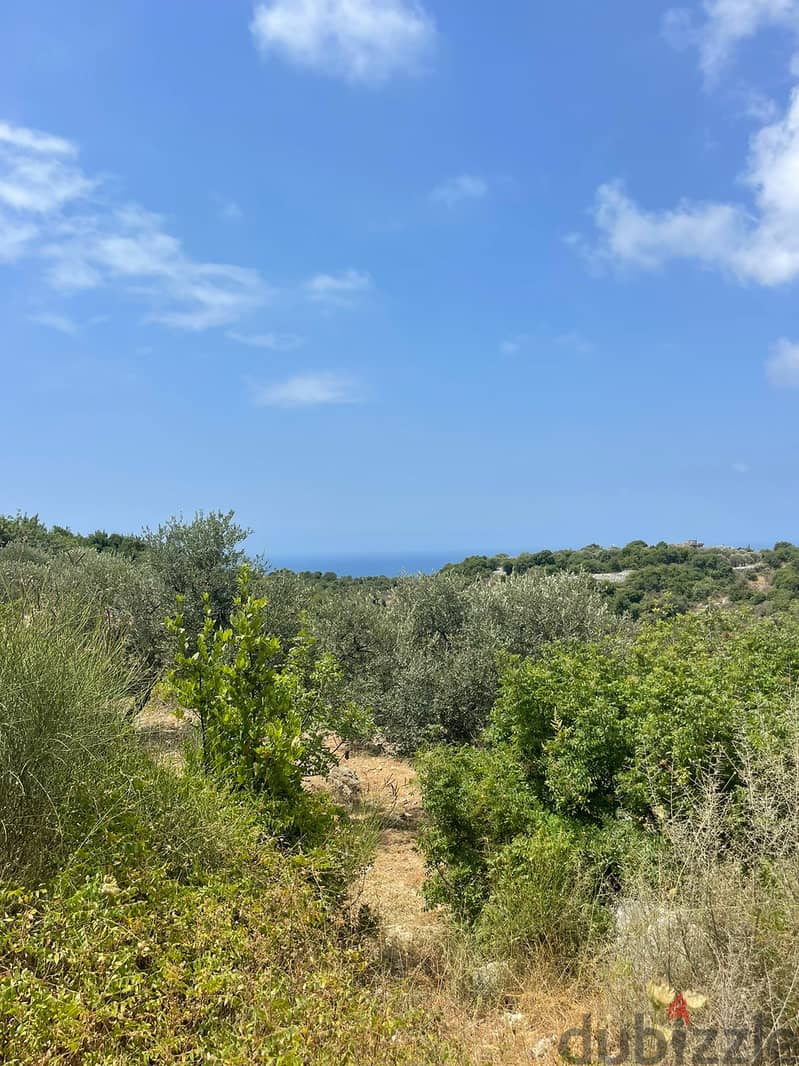 RWB201CA - Land for sale in Jeddayel Jbeil 3