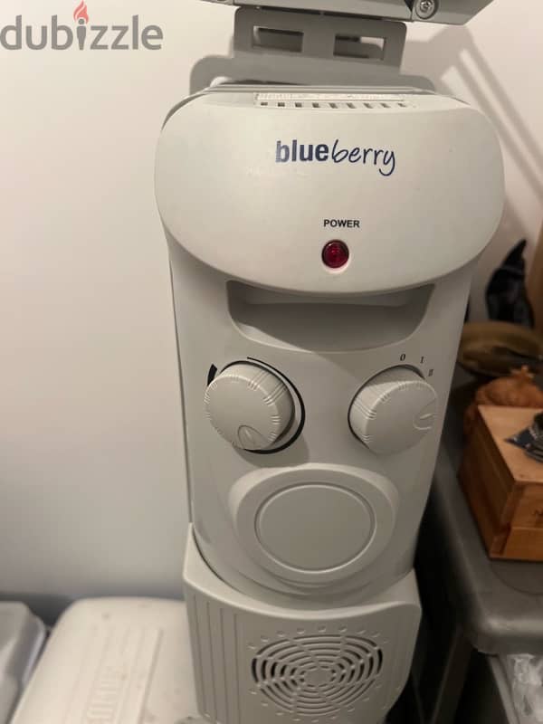 blueberry heater 1