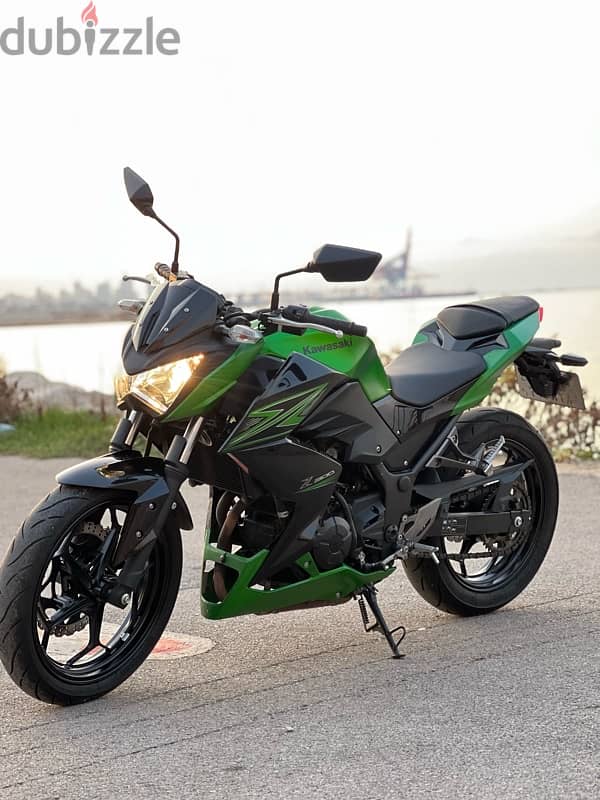 Kawasaki 300cc 1