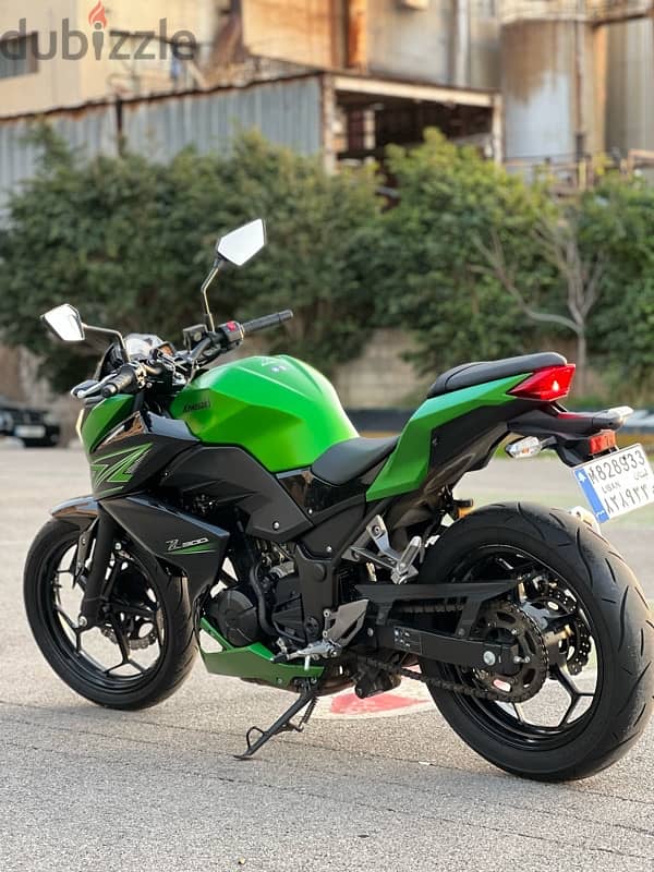 Kawasaki 300cc 3