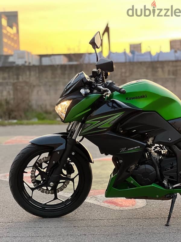 Kawasaki 300cc 5