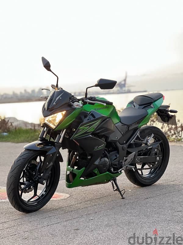 Kawasaki 300cc 6