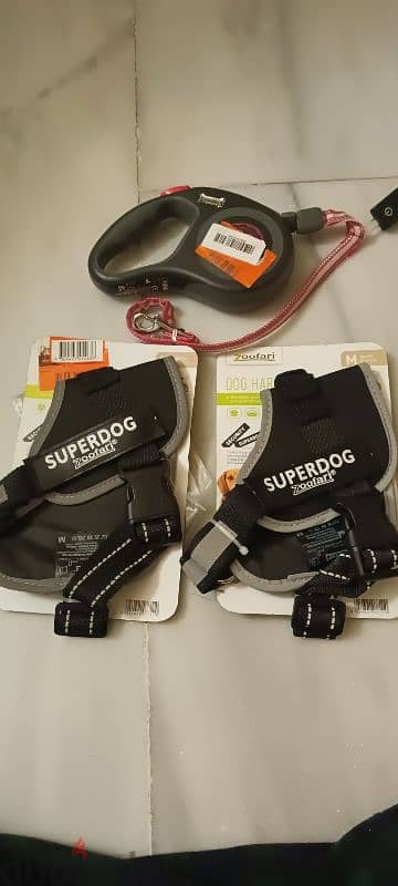 dog Leash and harness 1