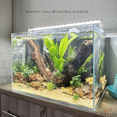 3 meter long CRYSTAL aquarium for sale