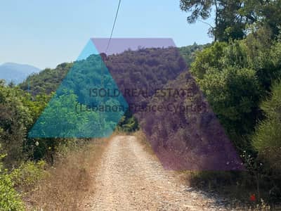 A 9060 m2 land for sale in Debbieh_Chouf  | أرض للبيع في الدبية