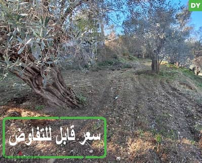 Residential land | Stand alone home | mghayreye / Chouf  REF#DY115506