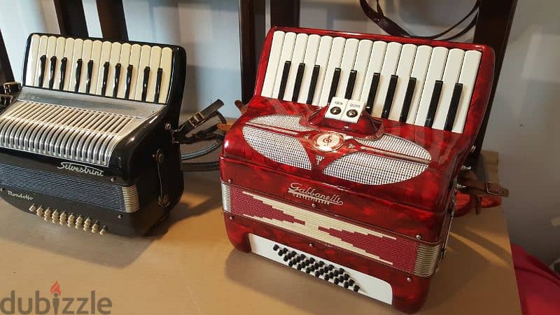 Accordion Christmas gift 2