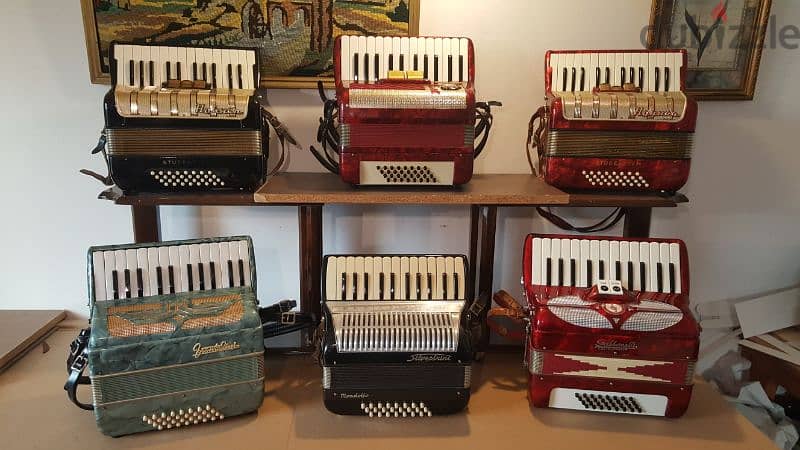 Accordion Christmas gift 4