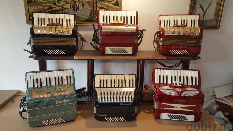 Accordion Christmas gift 5