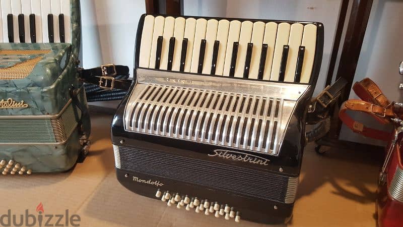 Accordion Christmas gift 6