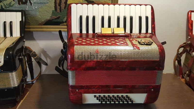 Accordion Christmas gift 7