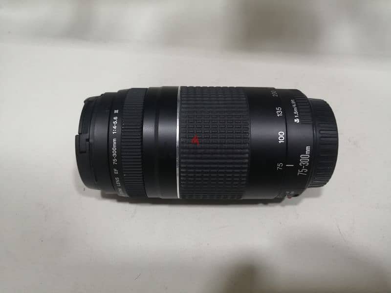 lens Canon 75_300mm 0