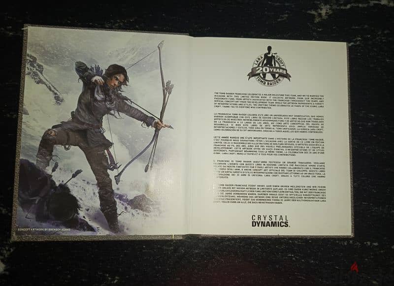 The rising of the tomb raider special edition 1