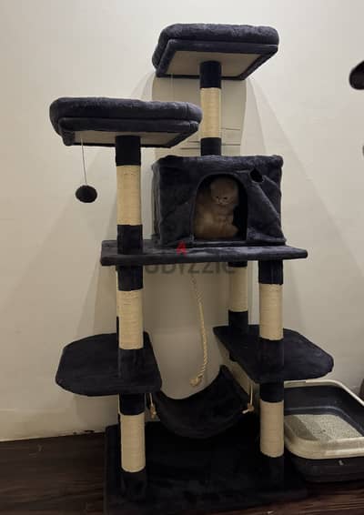 Cat Tree