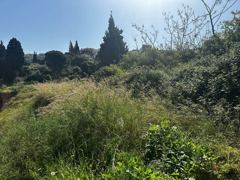 Land for Sale in Batroun Town - 1433 sqm with Construction Permit 5