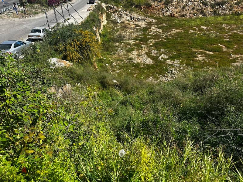 Land for Sale in Batroun Town - 1433 sqm with Construction Permit 3