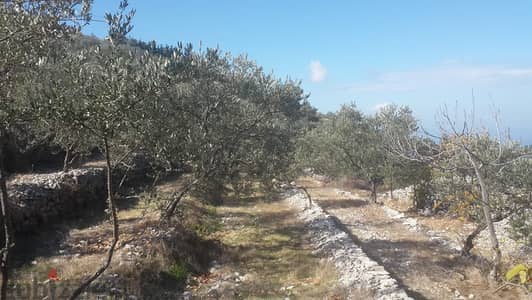 RWB202CA - Undermarket price! Land for sale in Bejjeh Jbeil