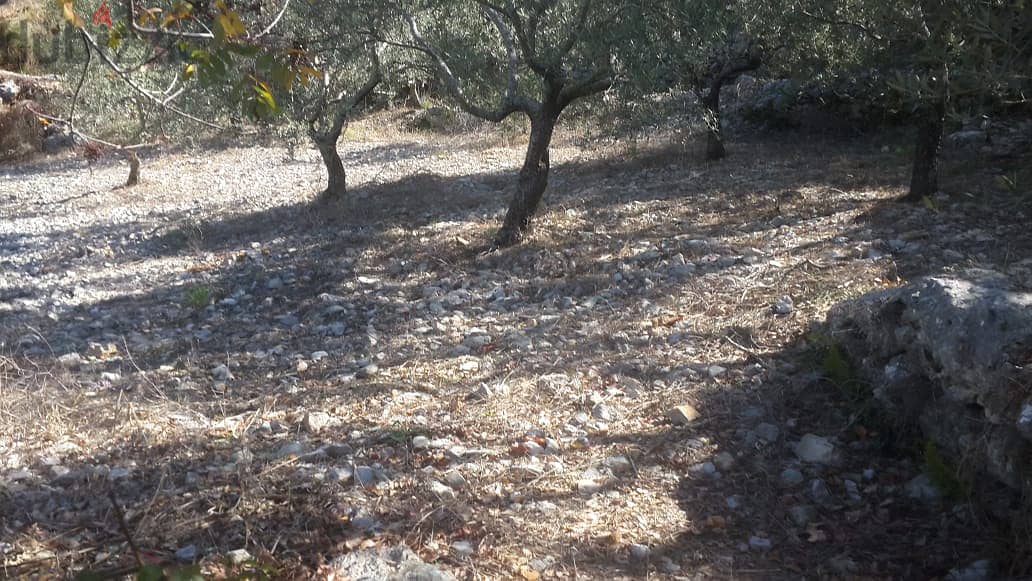 RWB202CA - Undermarket price! Land for sale in Bejjeh Jbeil 1