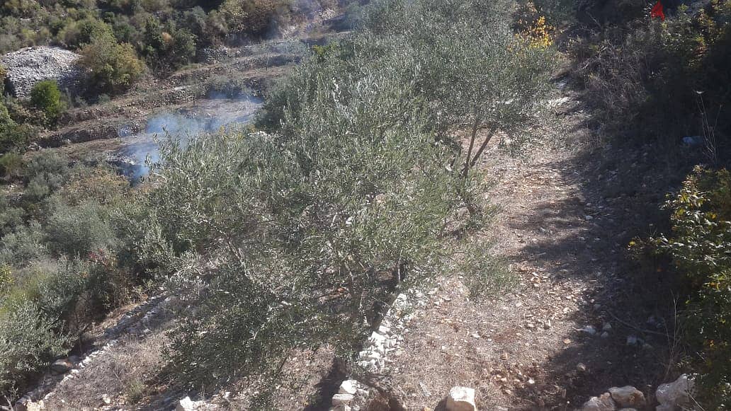 RWB202CA - Undermarket price! Land for sale in Bejjeh Jbeil 4