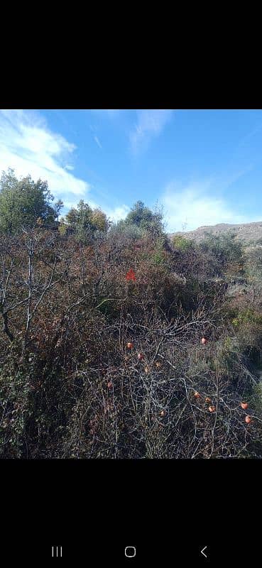 ارض للبيع في نبع الصفا الشوف land for sale in shouf 8