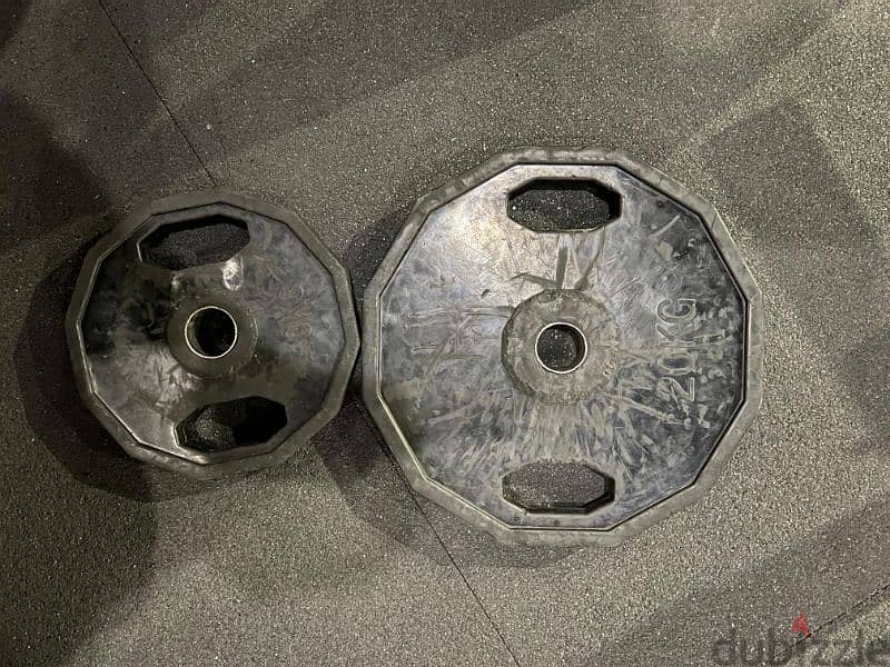 Gym plates 3