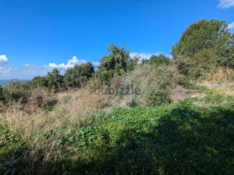 Land For Sale In Chikhane | Unblockable View | أرض للبيع | PLS 26215 3