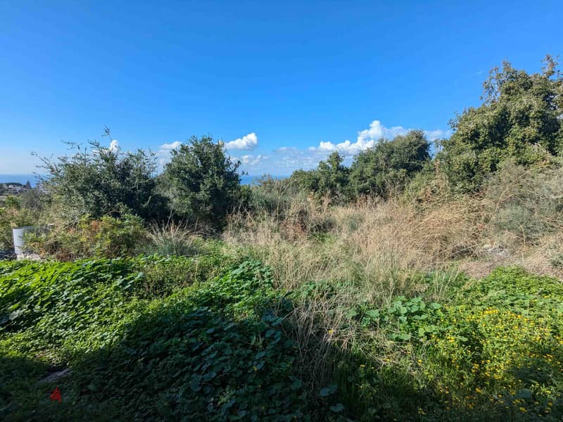 Land For Sale In Chikhane | Unblockable View | أرض للبيع | PLS 26215 4