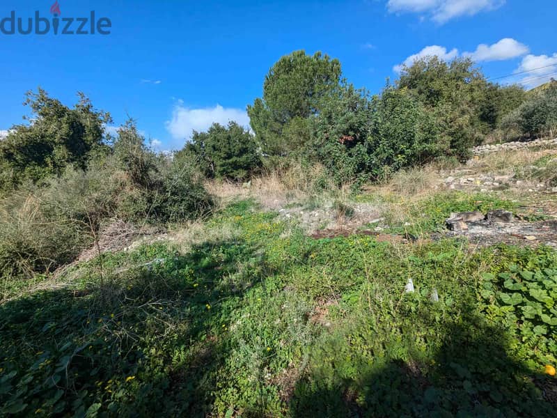 Land For Sale In Chikhane | Unblockable View | أرض للبيع | PLS 26215 7